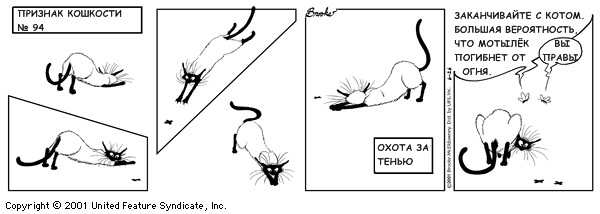 признаки кошкости