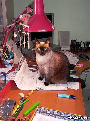 1 сентября - День Знаний!