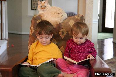 1 сентября - День Знаний!