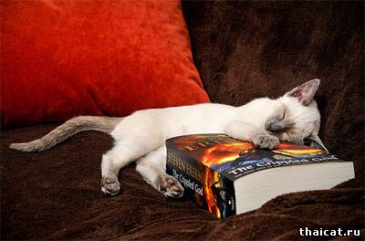 1 сентября - День Знаний!