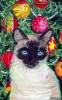 новогодние открытки с тайскими кошками