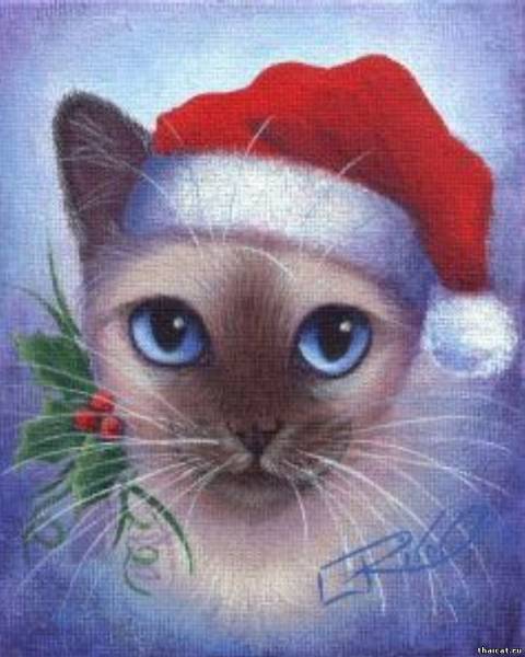 открытки с тайскими кошками