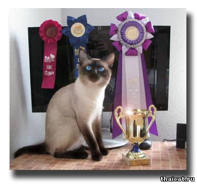 © Т. Казакова