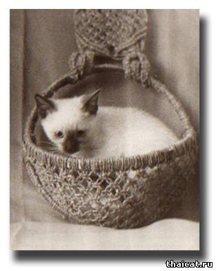 Cюзанна, дочка Симы