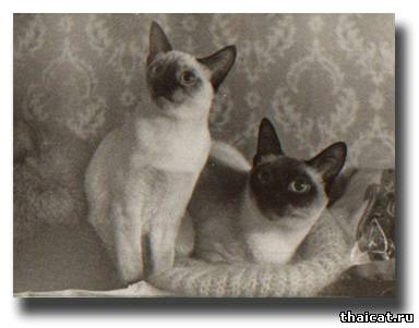 Сима с дочкой Касей