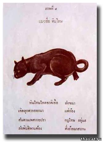 Четвертая Кошка Hin Thot (плохой камень) 