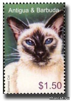 марки с сиамскими традиционными кошками