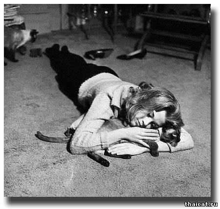 Йога с сиамской кошкой и Джейн Фонда