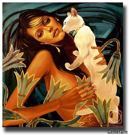 женщина и кошка