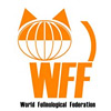 Тайская кошка: стандарт WFF