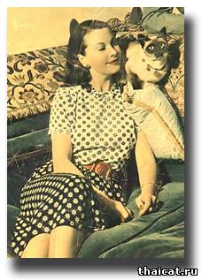 Вивьен Ли и ее сиамские кошки