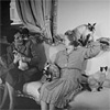 Сиамские кошки. 1947г. Москва
