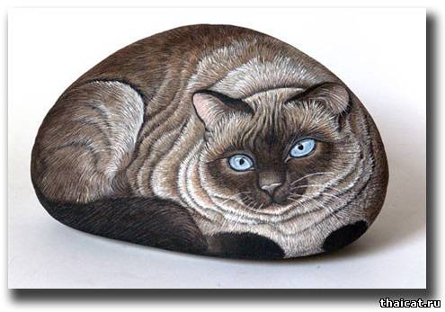 тайская кошка живопись