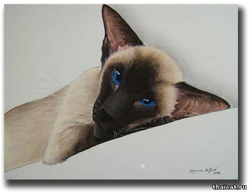 Сюзан Ле Гуд. Сиамские кошки