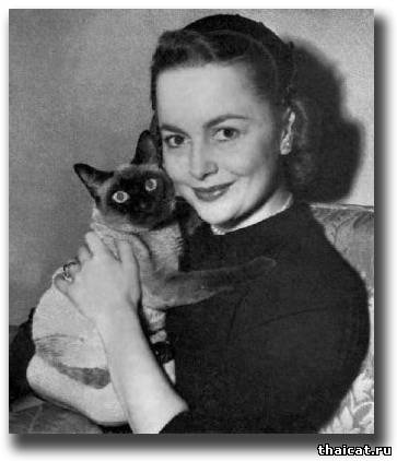 Оливия де Хэвиленд со своей сиамской кошкой