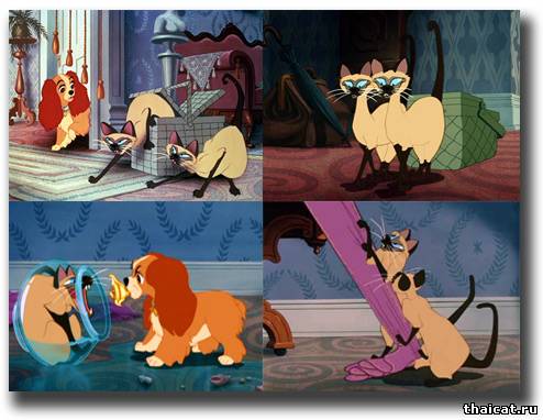 Сиамские коты из мультфильма Леди и Бродяга