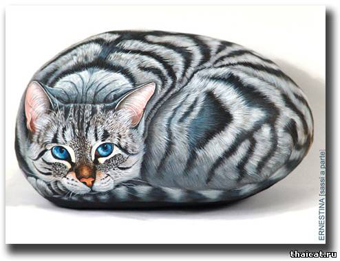 Живопись на камне: сиамские кошки