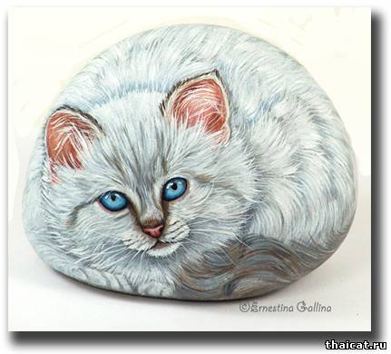 Живопись на камне: сиамские кошки