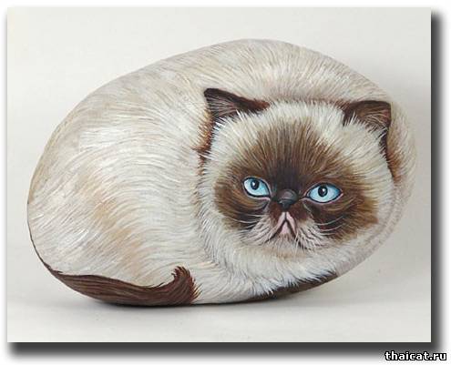 Живопись на камне: персидские кошки