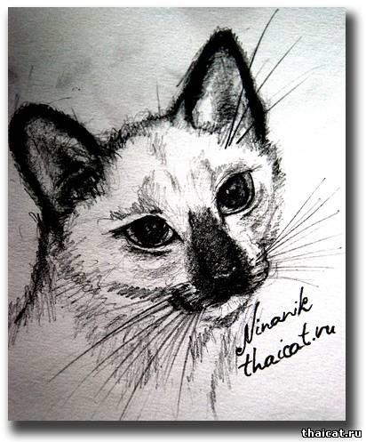 Рисунки кошек