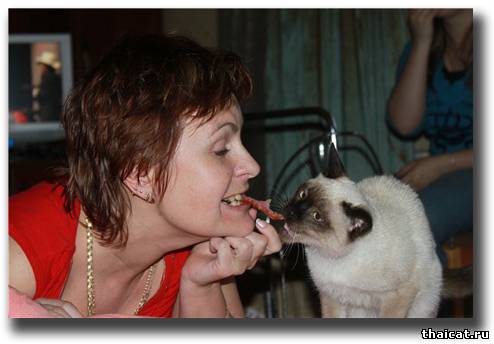 свой кусок он отхватил....занавес!