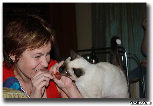 И вот злодей коварно справа подвалил...