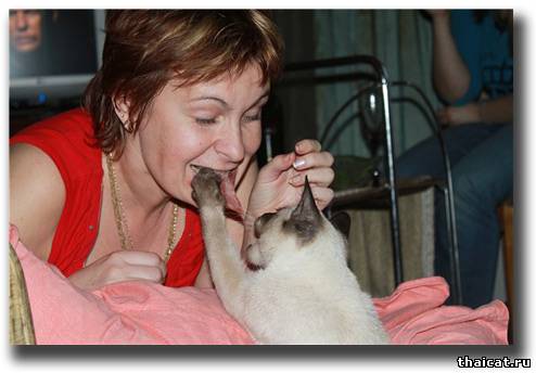 и так он к балыку и этак..