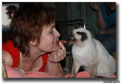 и в перетягивании жарком.