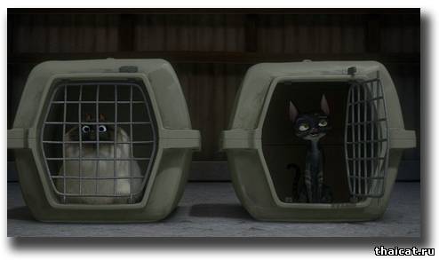 Котяра в мультфильме Вольт