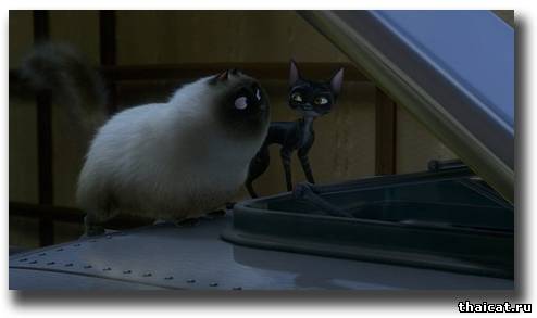 Котяра в мультфильме Вольт