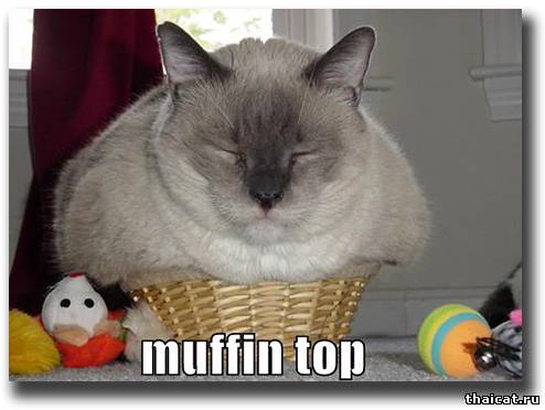 Маффин по-тайски