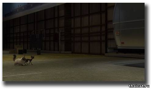 Котяра в мультфильме Вольт