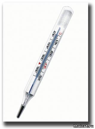 Термометр ртутный стандартный