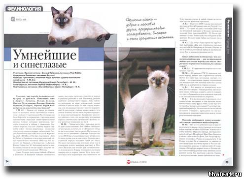 Интервью заводчиков о тайской породе