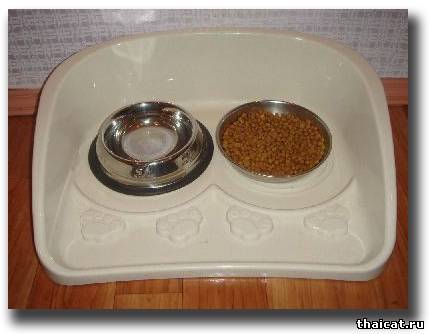 Кошка не ест