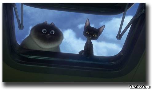 Котяра в мультфильме Вольт