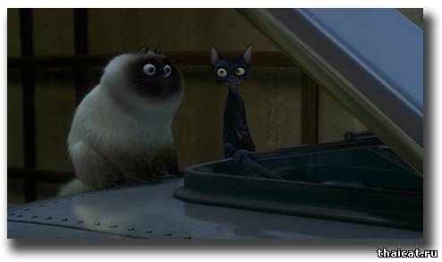 Котяра в мультфильме Вольт