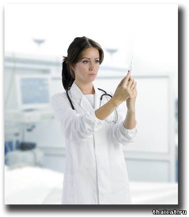 Анестезия при оперативных вмешательствах у кошек