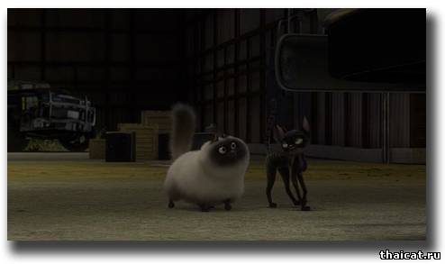 Котяра в мультфильме Вольт