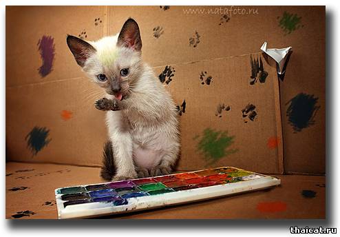 Юный художник