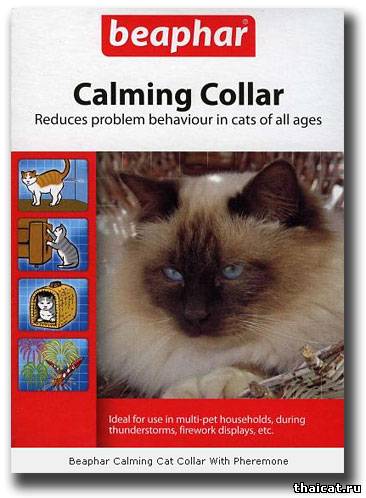 Успокоительные ошейники для кошек