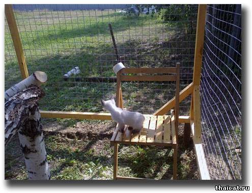 Вольер для кошек