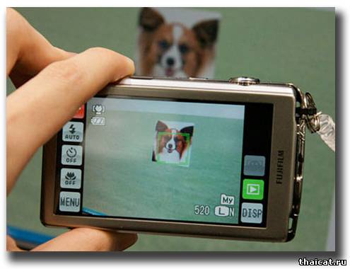 Фотоаппарат для съемки животных