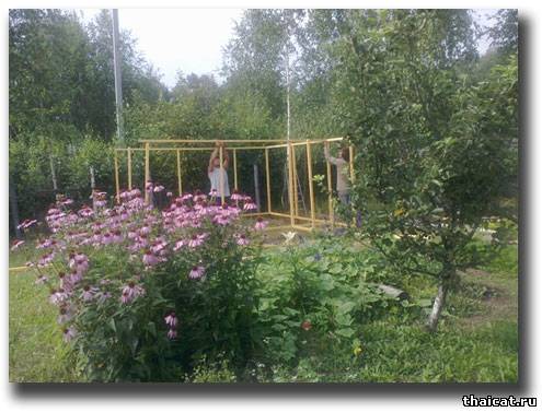 Как строился вольер для кошек