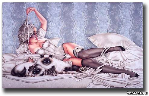 Женщины и кошки Женщины и кошки