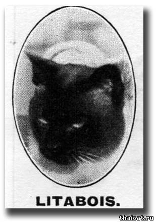 Литабоис (Litabois)
