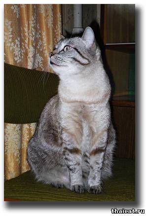 Каркарный Дух