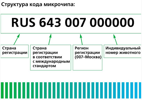 Структура кода микрочипа