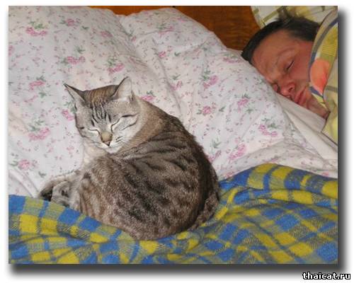 Каркарный Дух