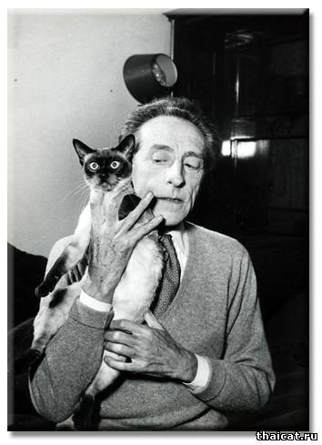 Жан Кокто и сиамская кошка